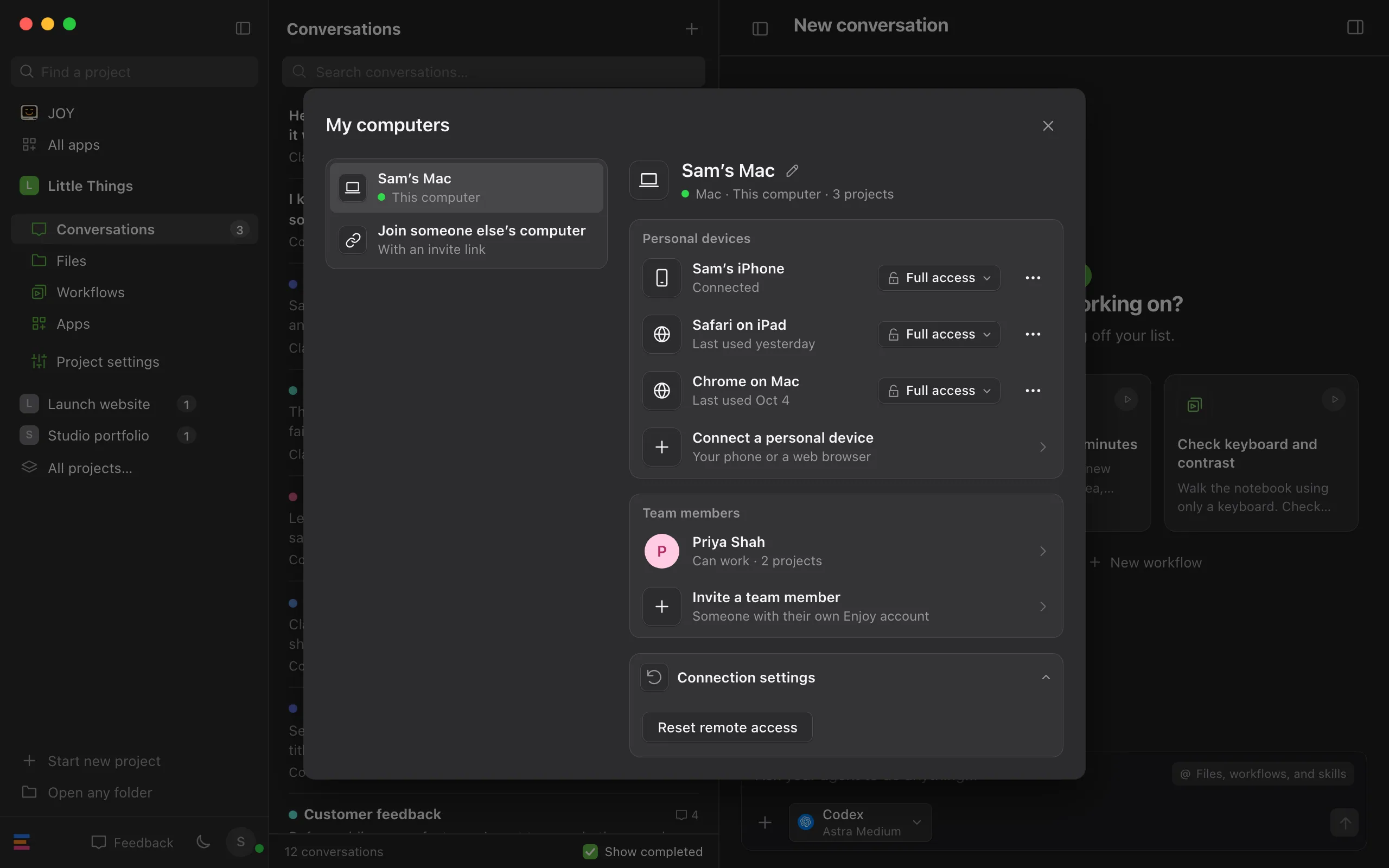 The open Connection settings panel at the bottom of this computer’s details. Highlighted: Reset remote access.