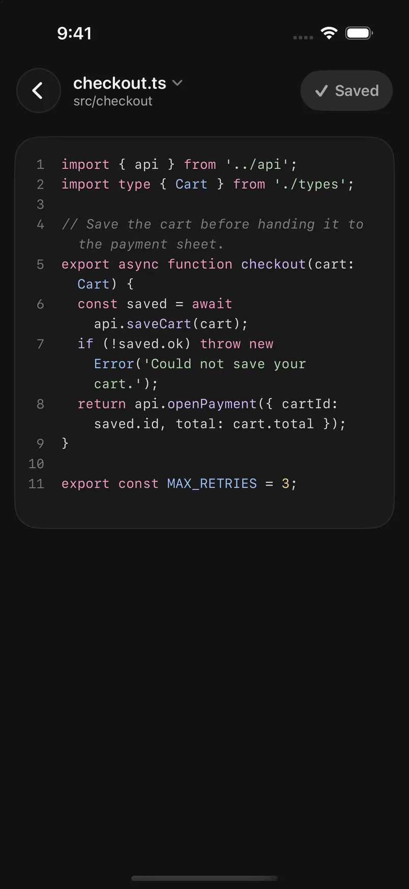 A project file open in the iPhone app, with its name and folder at the top. Highlighted: The file's name at the top.